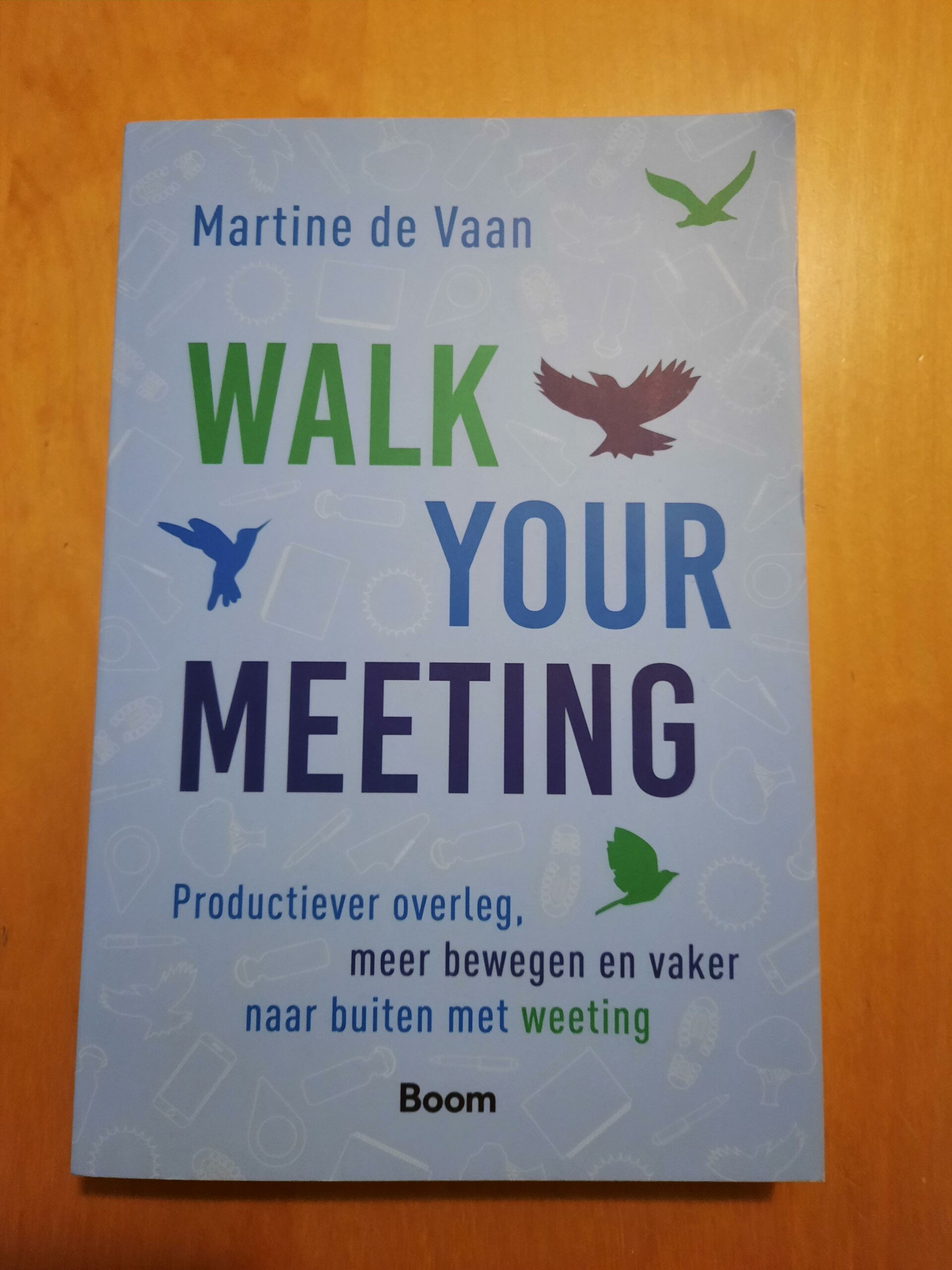 Allereerste boek over weeting - Walk your Meeting van Martine de Vaan