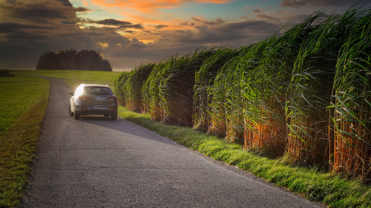 autobezit op platteland neem toe - auto die door land rijdt