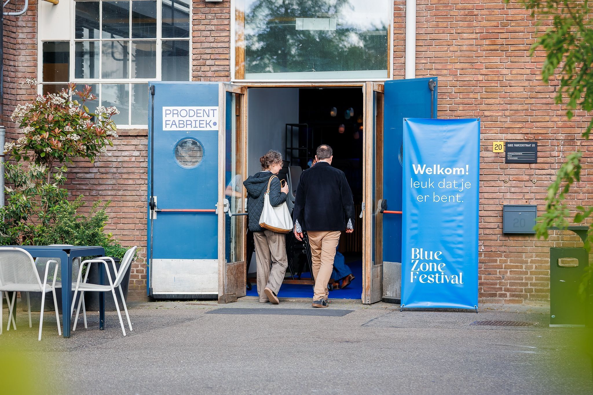 Blue Zone Festival
